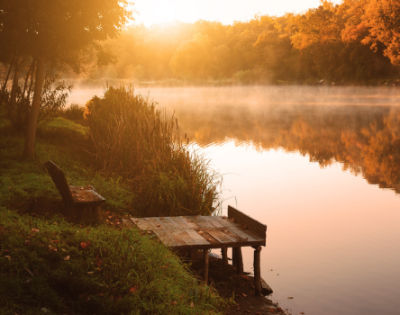 Still Waters Rise